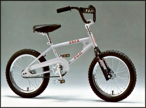 1983 Fuji 250x