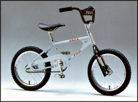 1984-85 Fuji 250x
